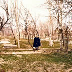 107Image262_8.jpg (50kb)